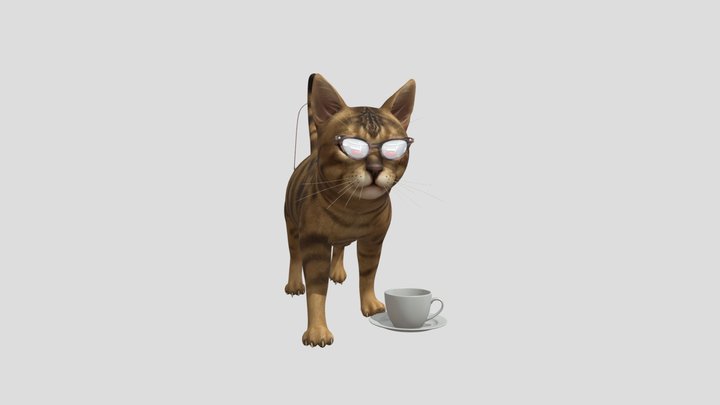 Cool Cat 3D Model