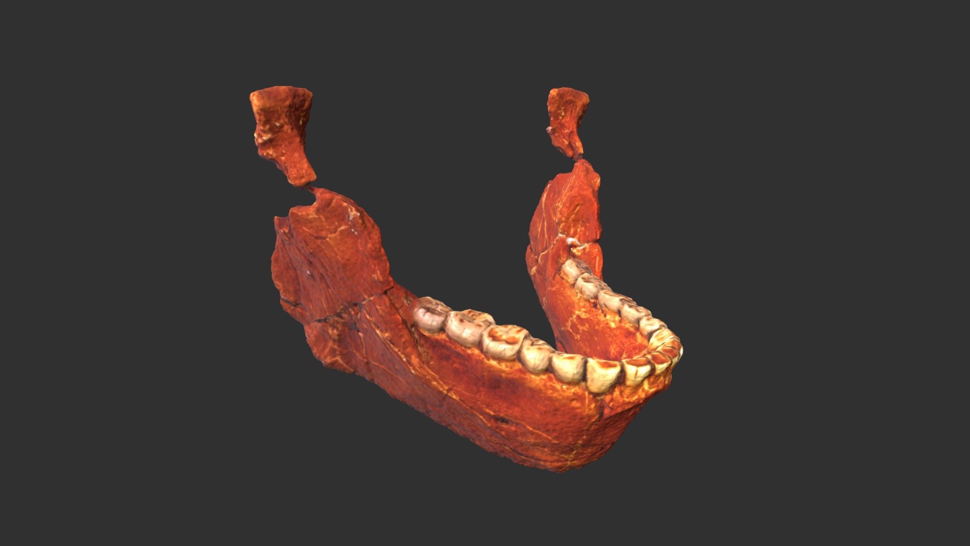Irhoud 11