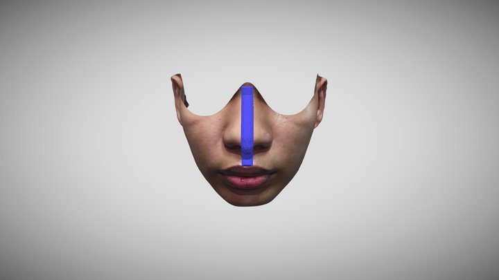 GuideRhino 3D Model