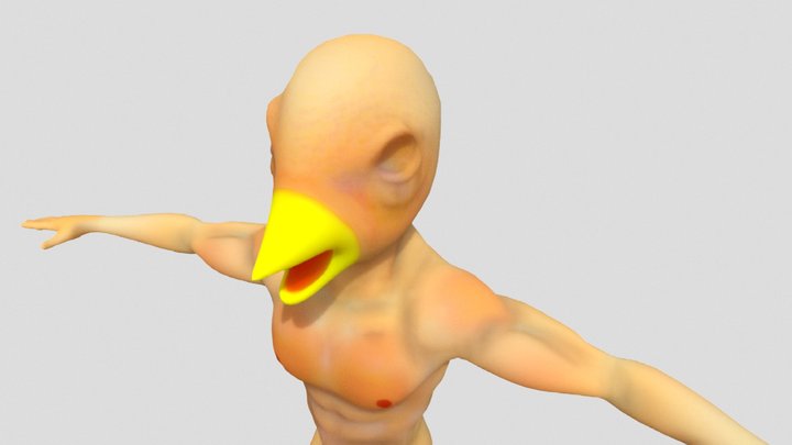 Buff Bird 3D Model