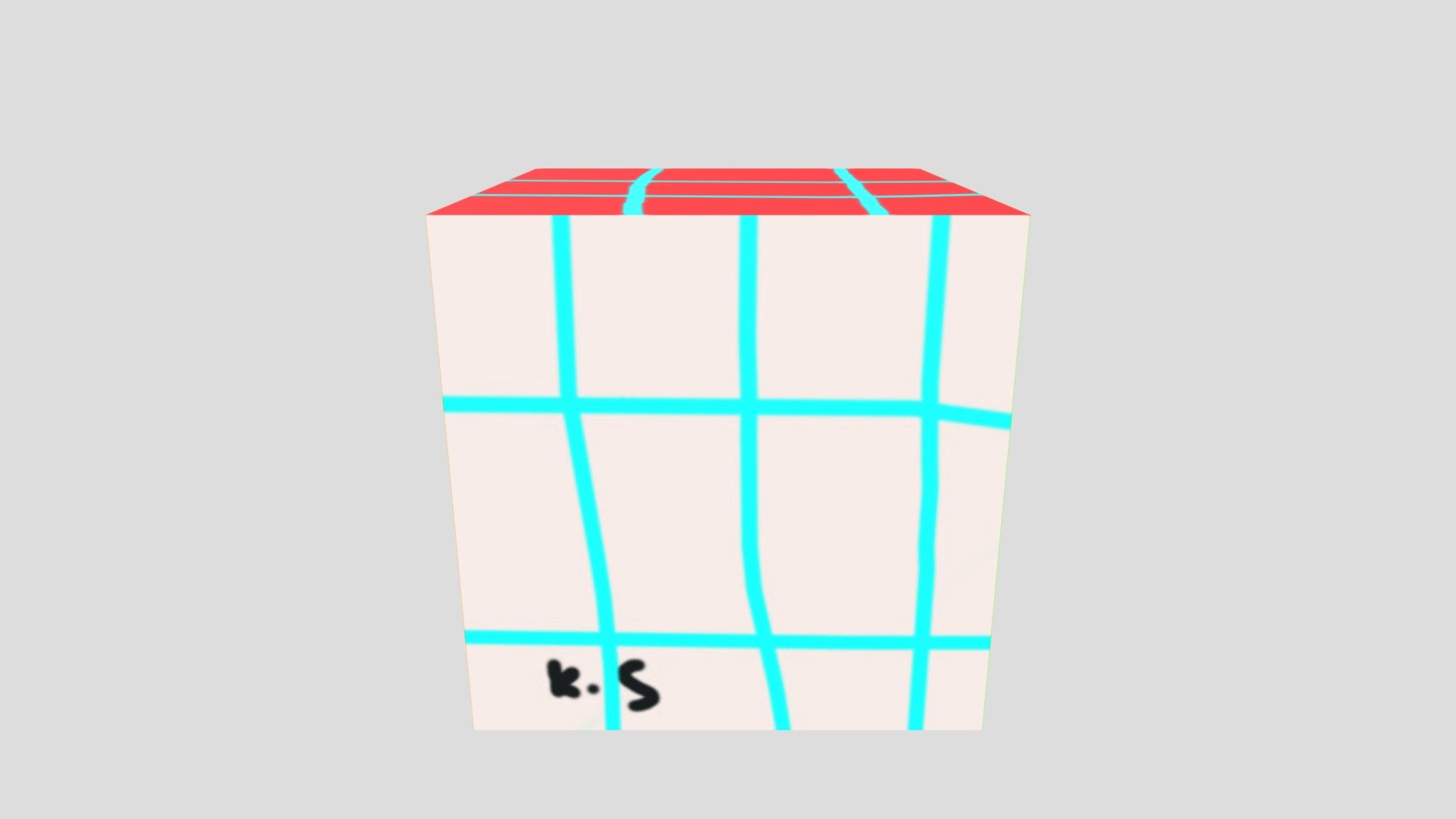 Kaidyn S. - Rubik's Cube