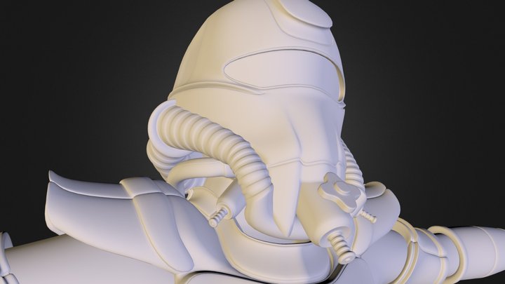 Pilot Mesh 3D Model