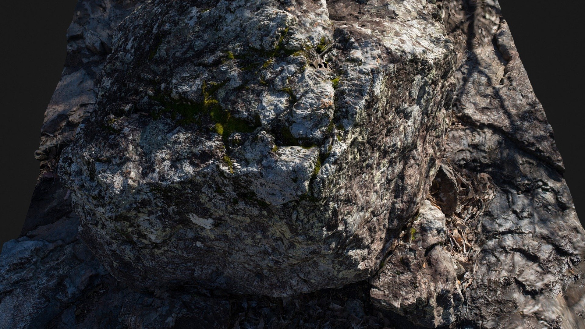 Moss Covered Boulder