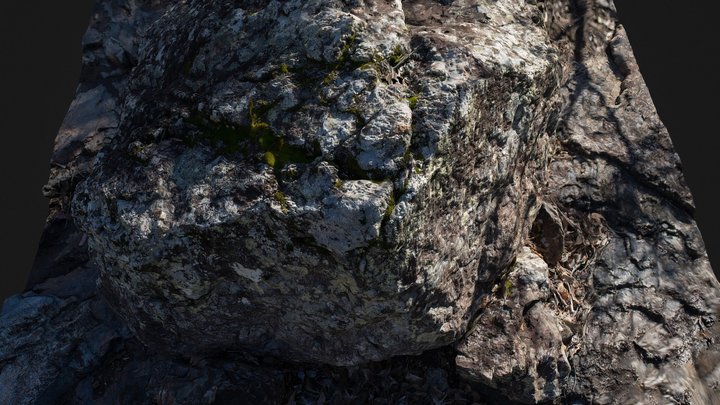 Moss Covered Boulder 3D Model