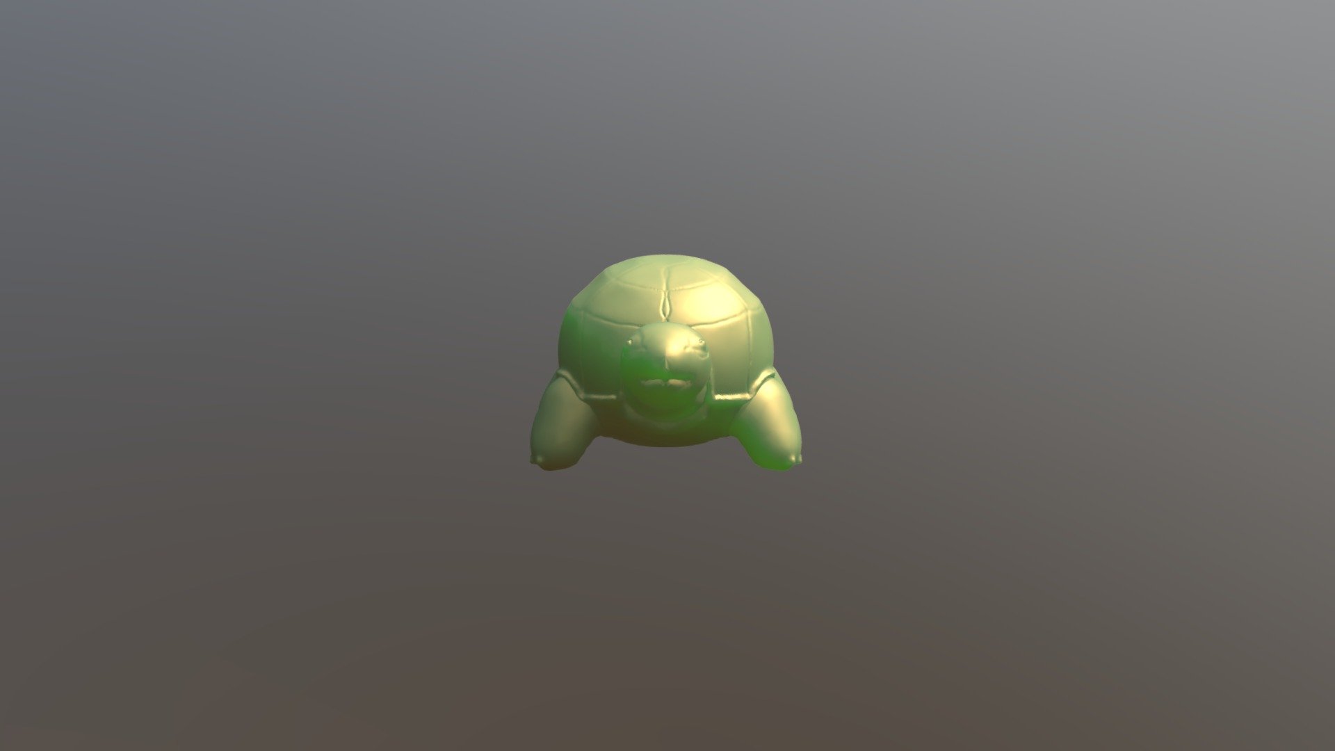 Tortoise