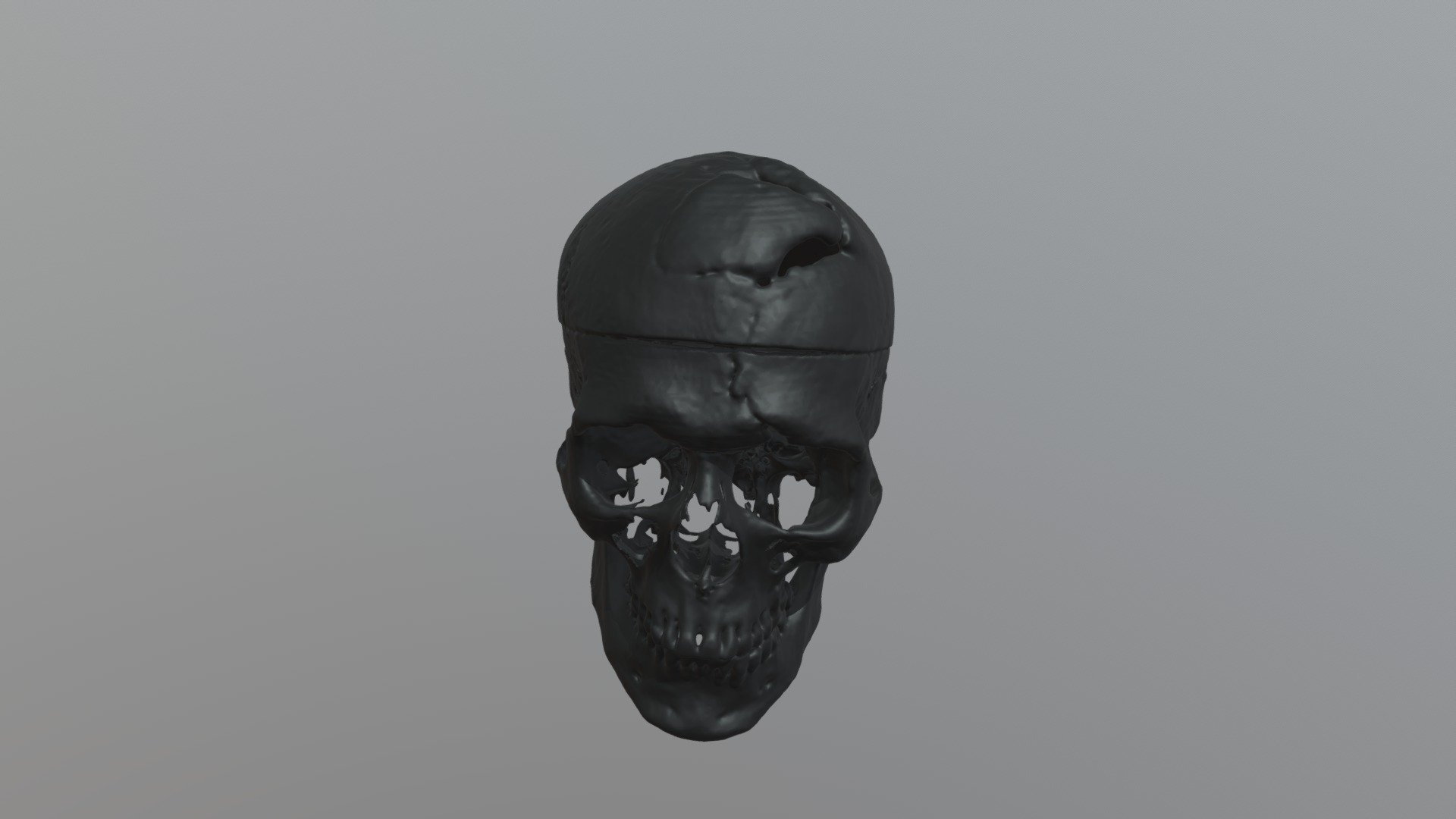 P Gage Skull Complete 3