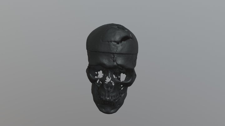 P Gage Skull Complete 3 3D Model