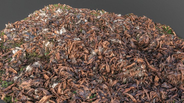 Leftover tree leaves – Free 3D Model STL