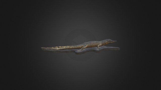 Crocodile V2 3D Model