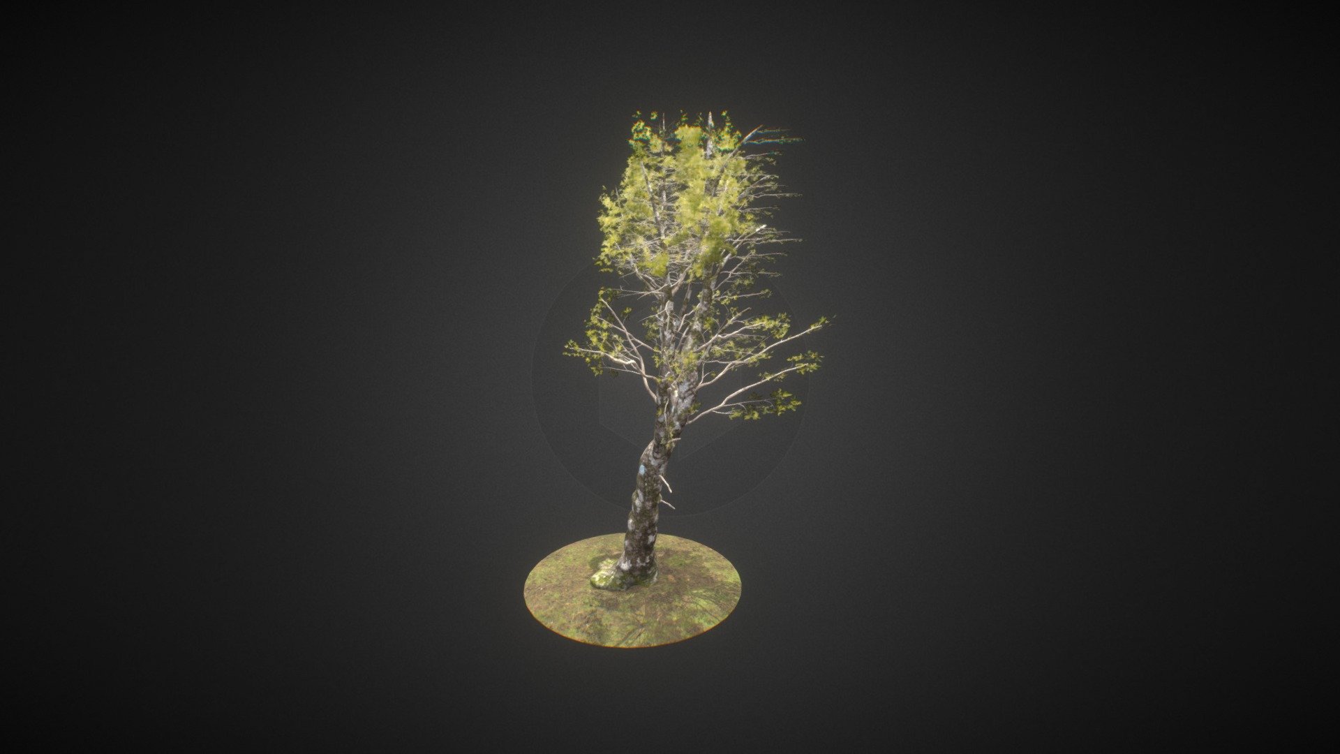 Elder ENT Queule8 Replica - 3D model by endangeredtokens [9b7f278 ...