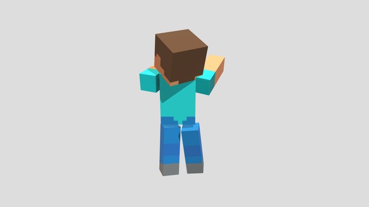 Showing Steve 3D Model