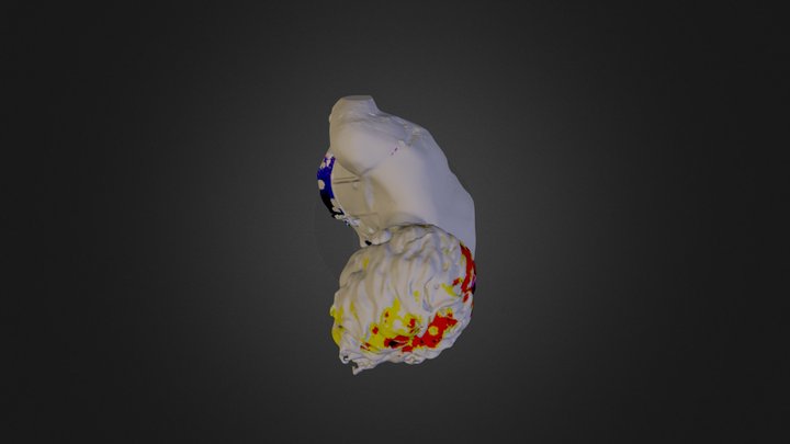 Bea 3D Model