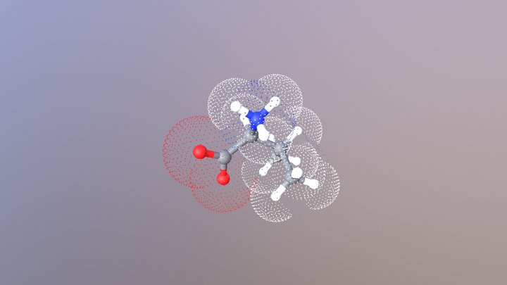 Valine 3D Model