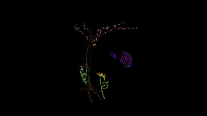 AnimacXR_Bosque_Maria 3D Model