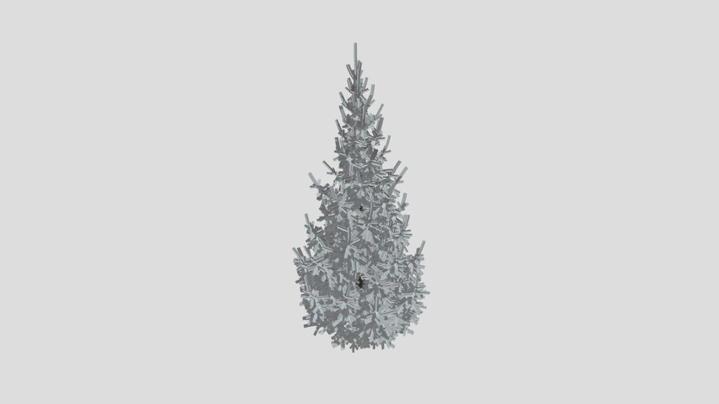 Norway Spruce Picea Abies 5 0m