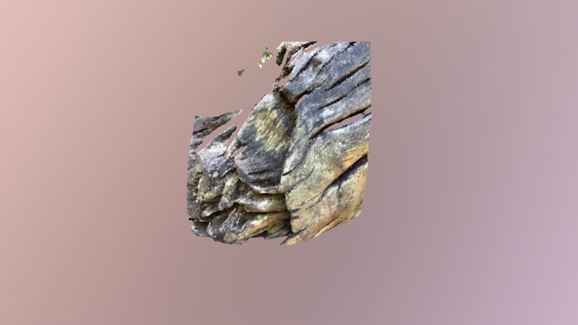 Bark0