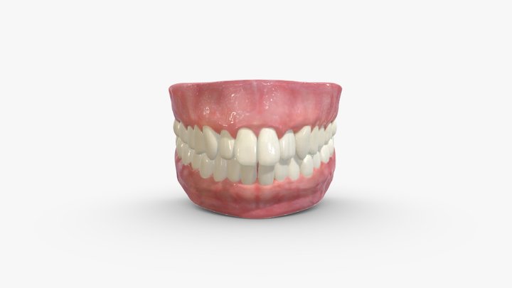 Realistic Teeth Gums and Tongue - Type 02 3D Model