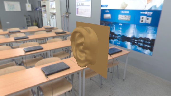 Ear2 3D Model