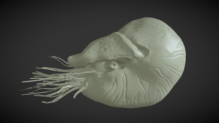 Sculpt January 18: day11: ,,marine" 3D Model
