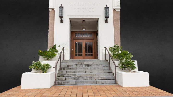 SGP Building entrance, Turitea Campus 3D Model