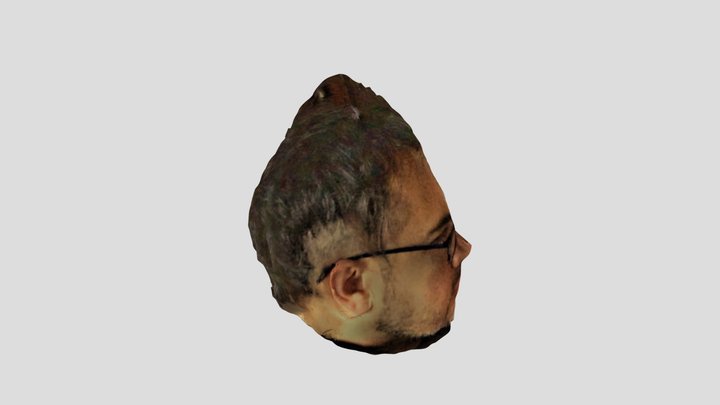 Head 3D Model