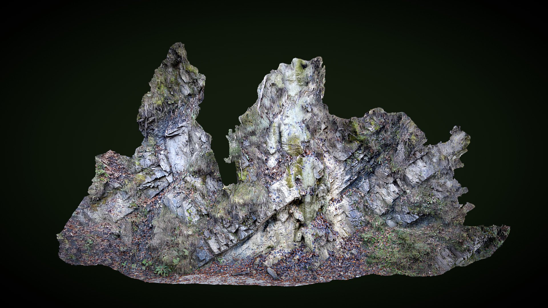 An outcrop in Lainbachtal