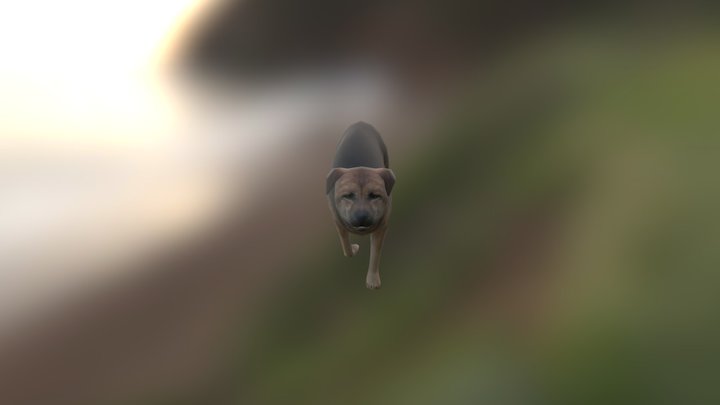 1492655478365 3D Model