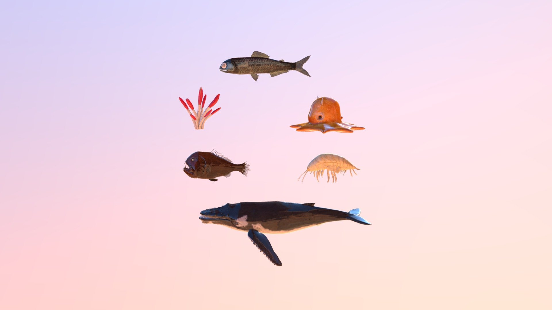 Sea aminal
