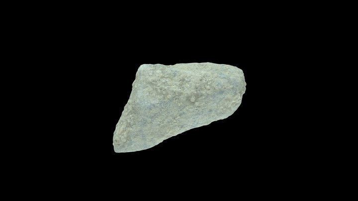 SRCA2 ultra high quality mesh 3D Model