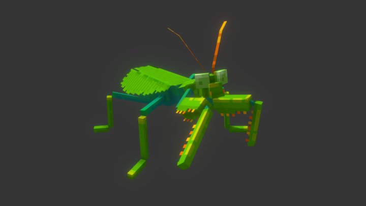 Mantis 3D Model