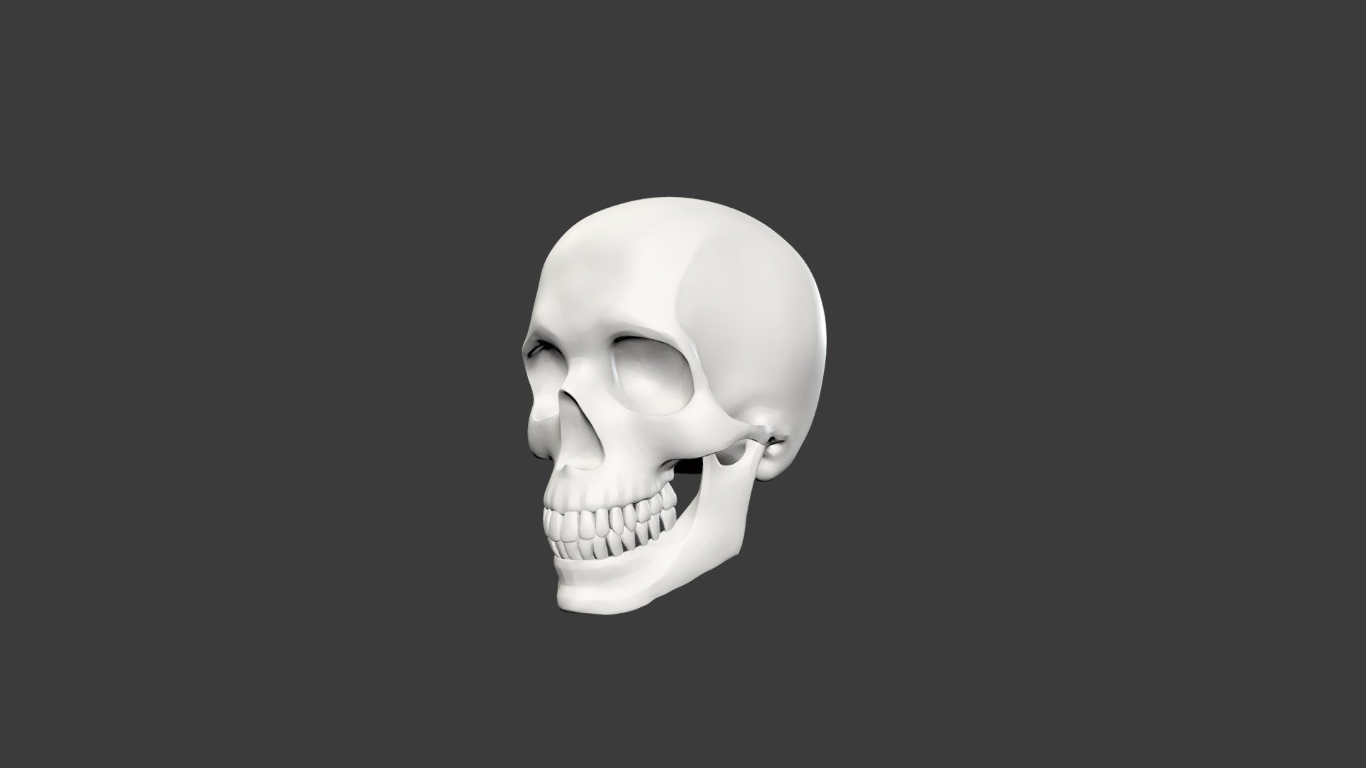 Scull - Download Free 3D model by Maria Tsaruk (@m_psyduck) [9b9429e ...