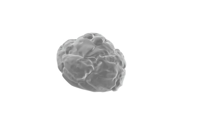 Zeppola_stl