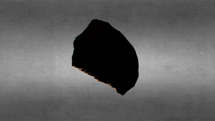 Capeduncola 171 3D Model