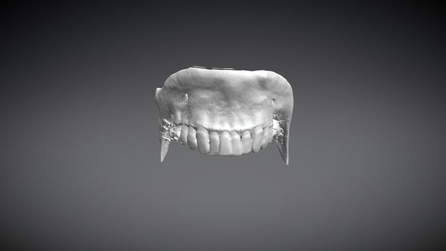 Os Zip Bas 3D Model