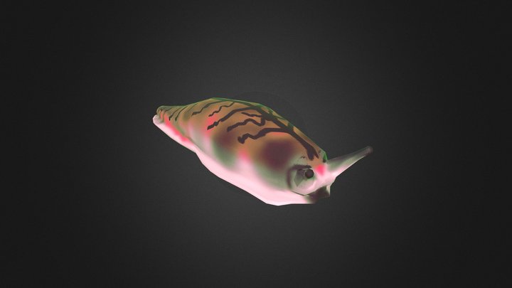 Slug 3D Model
