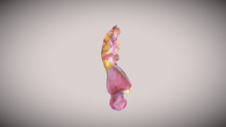 New Qlone 3D Model