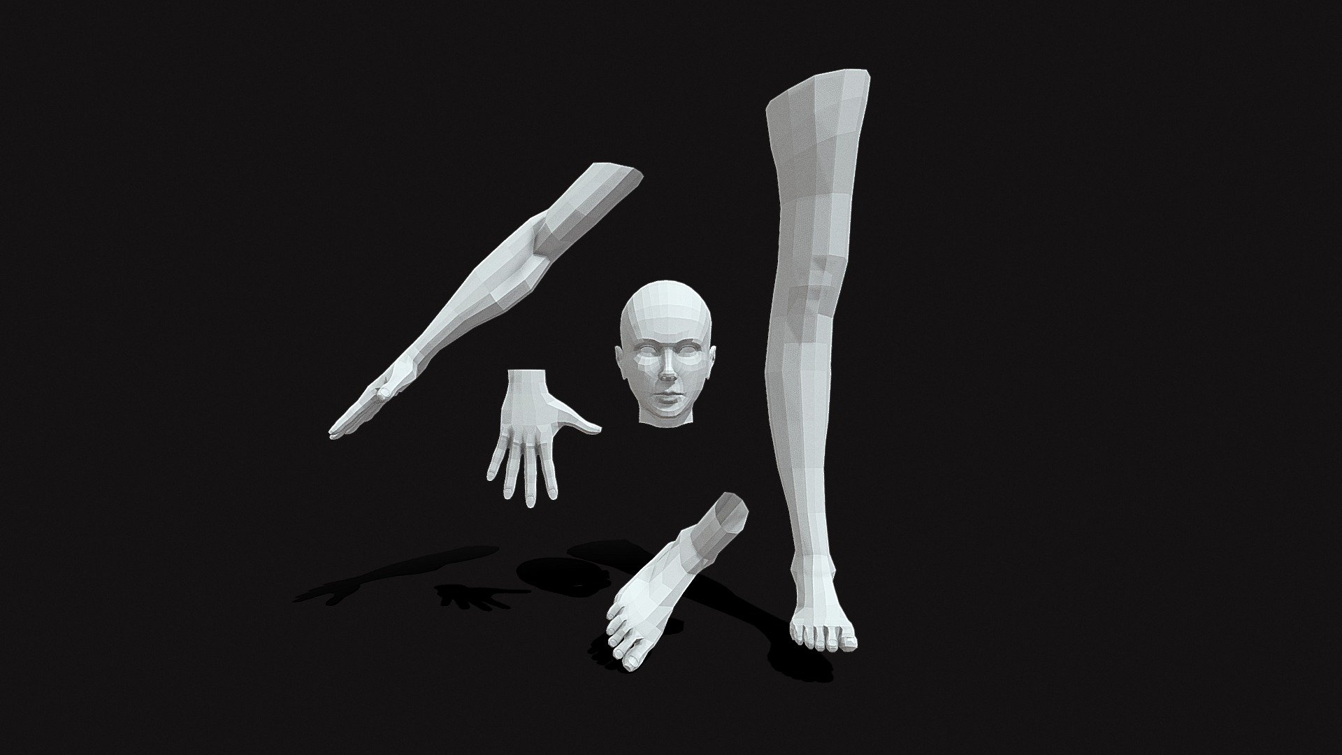 Arms_hands_head_legs and feet ( low poly)_Female - Download Free 3D ...