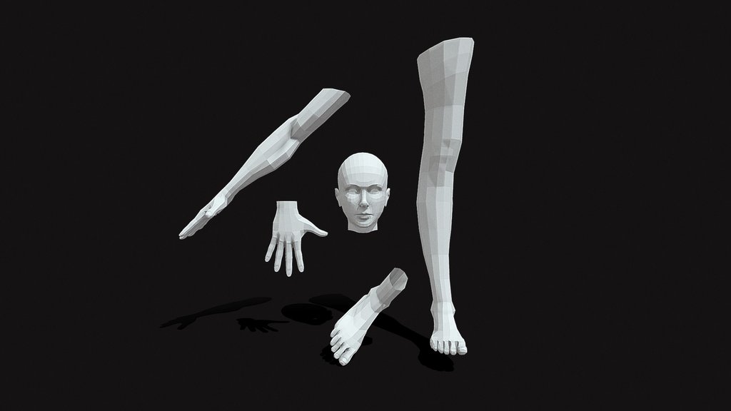 Arms_hands_head_legs and feet ( low poly)_Female