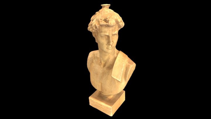 Wooden Statue of David (HEAD ONLY) 3D Model
