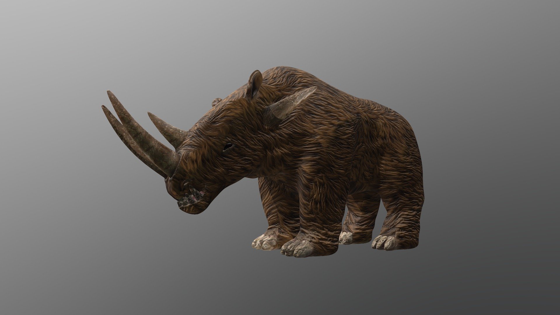 Rihnoceros