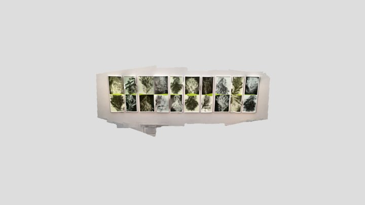 Museum Exhibit by Jeremy Wineberg 3D Model