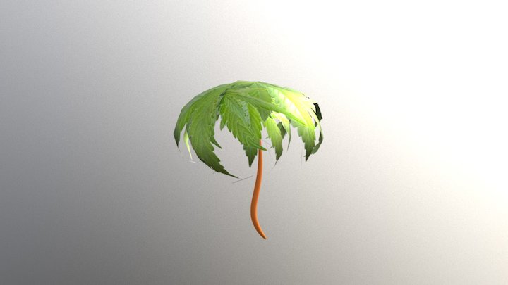 Palm Tree 3D Model