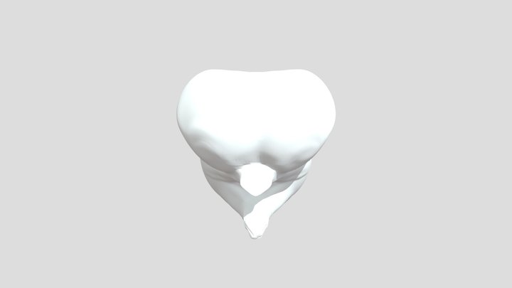 My model 3D Model