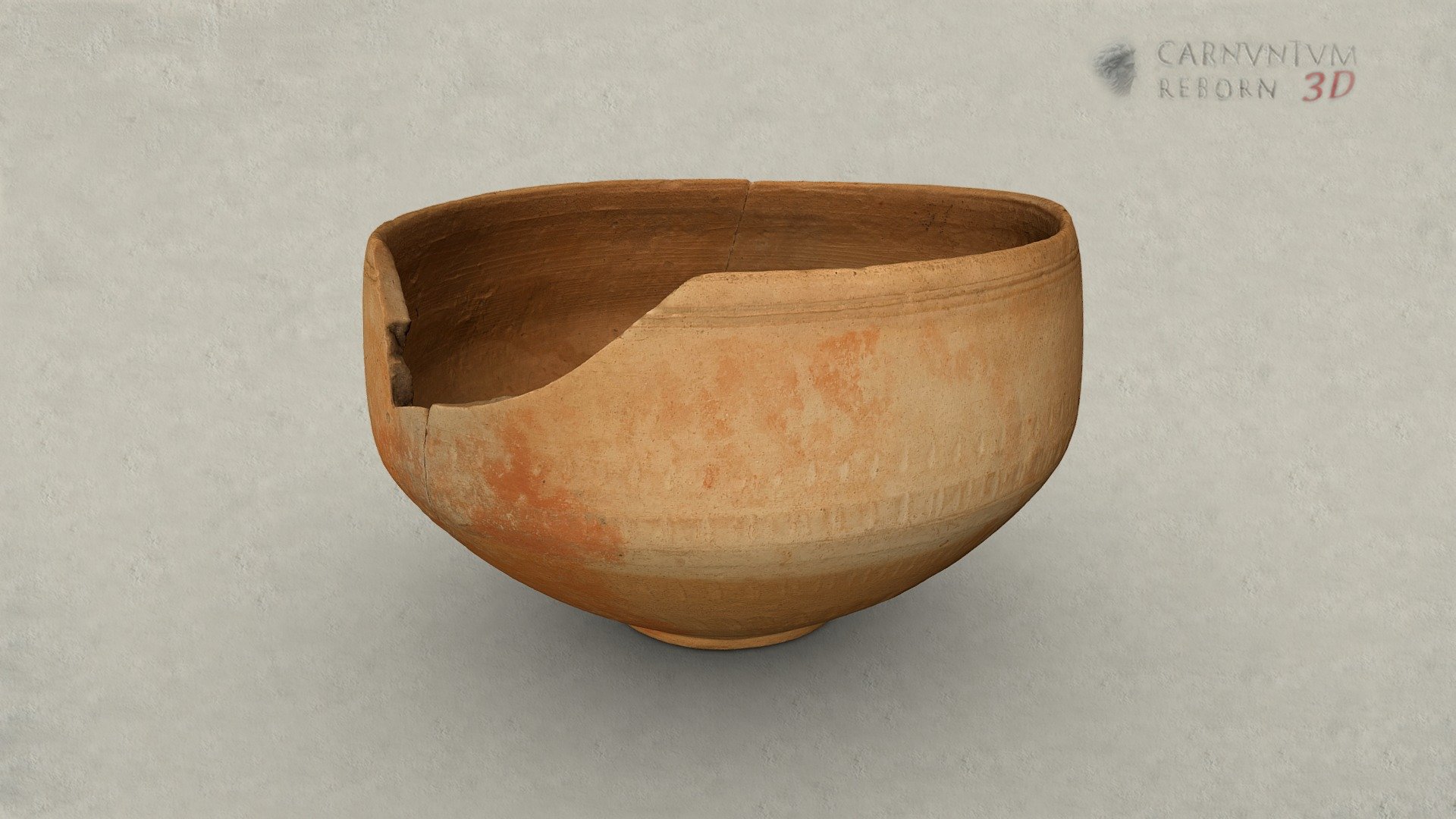 Schale — Sketchfab embed 3D viewer