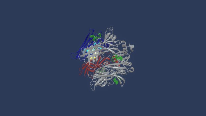 zielinherb_BIOL244_Ac-AChBP_and_α-Conotoxin-ImI 3D Model