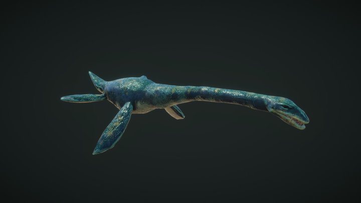 Plesiosaurus 3D Model