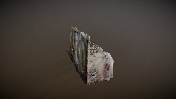 Naturkunde 3D Model
