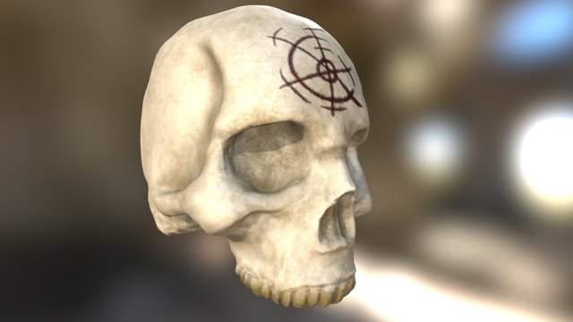 Skull 3D Model