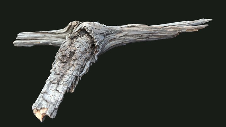 Cool Stick 3D Model