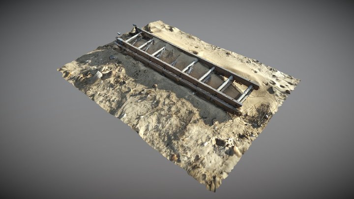 Abandoned wooden ladder found on beach 3D Model